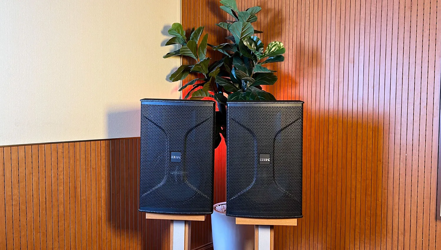 Loa Karaoke BIK BSP 812II (Full Bass 30cm)