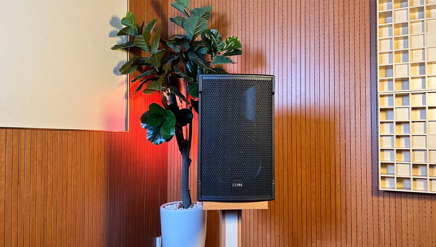 Loa Karaoke BIK CS-525 (Bass 30cm)