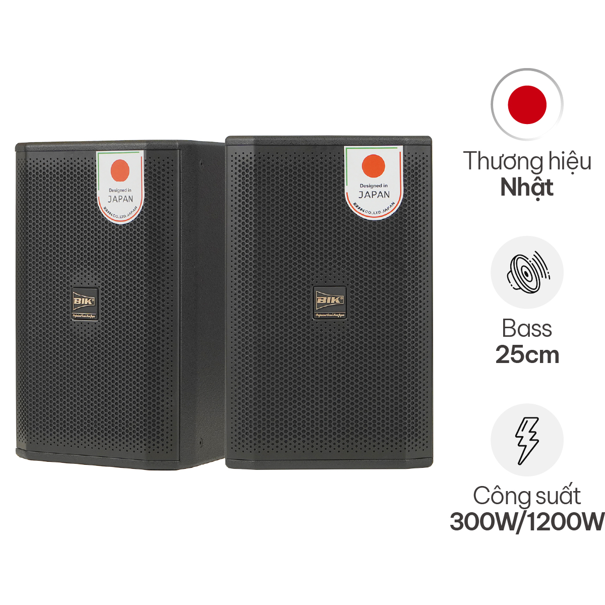 Loa karaoke Nhật BIK CS-620