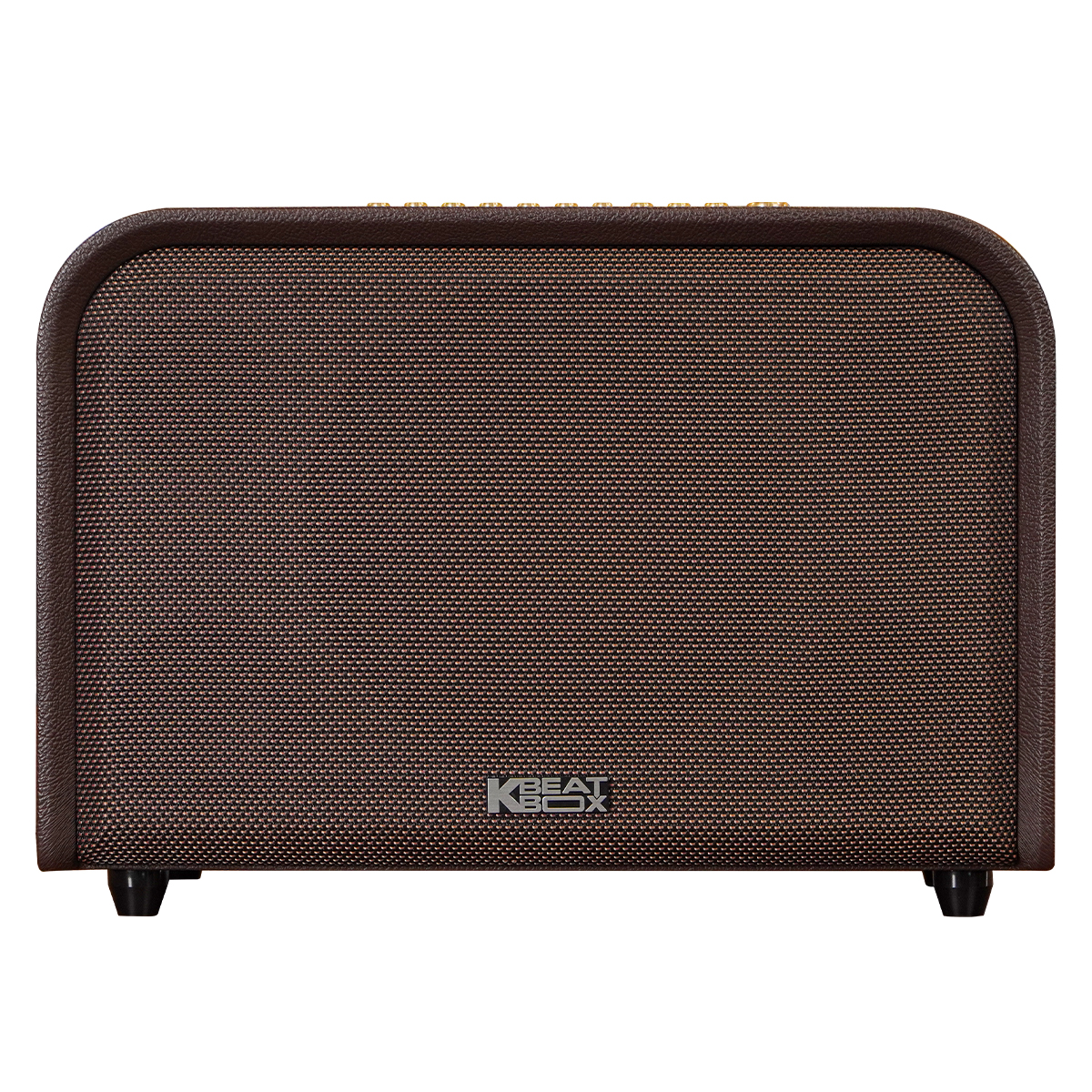 Loa Acnos Acoustic 3