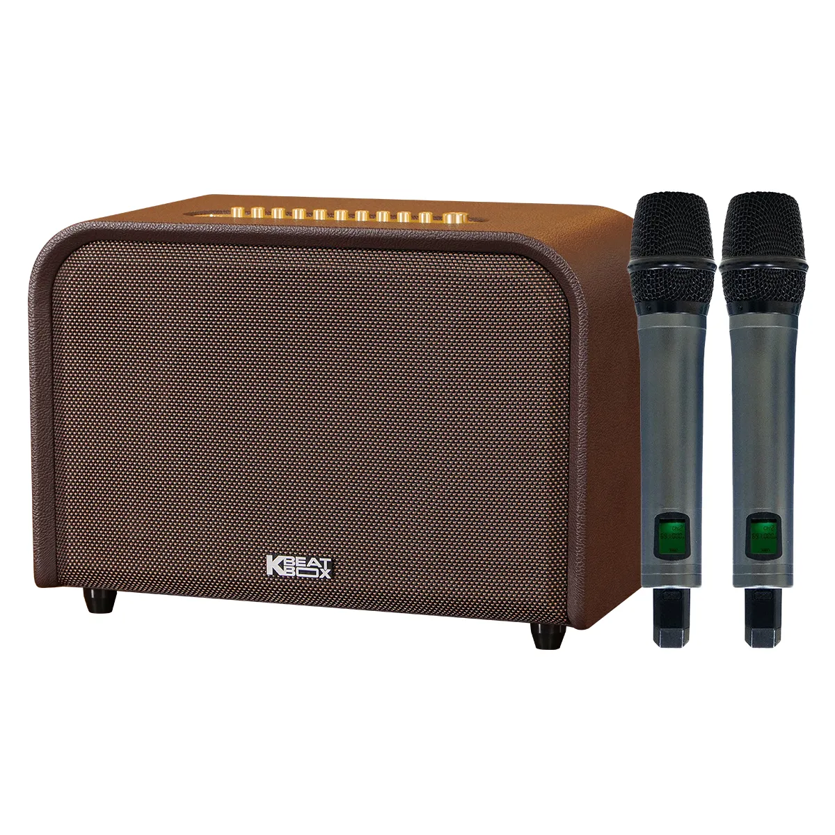 Loa Acnos Acoustic 3