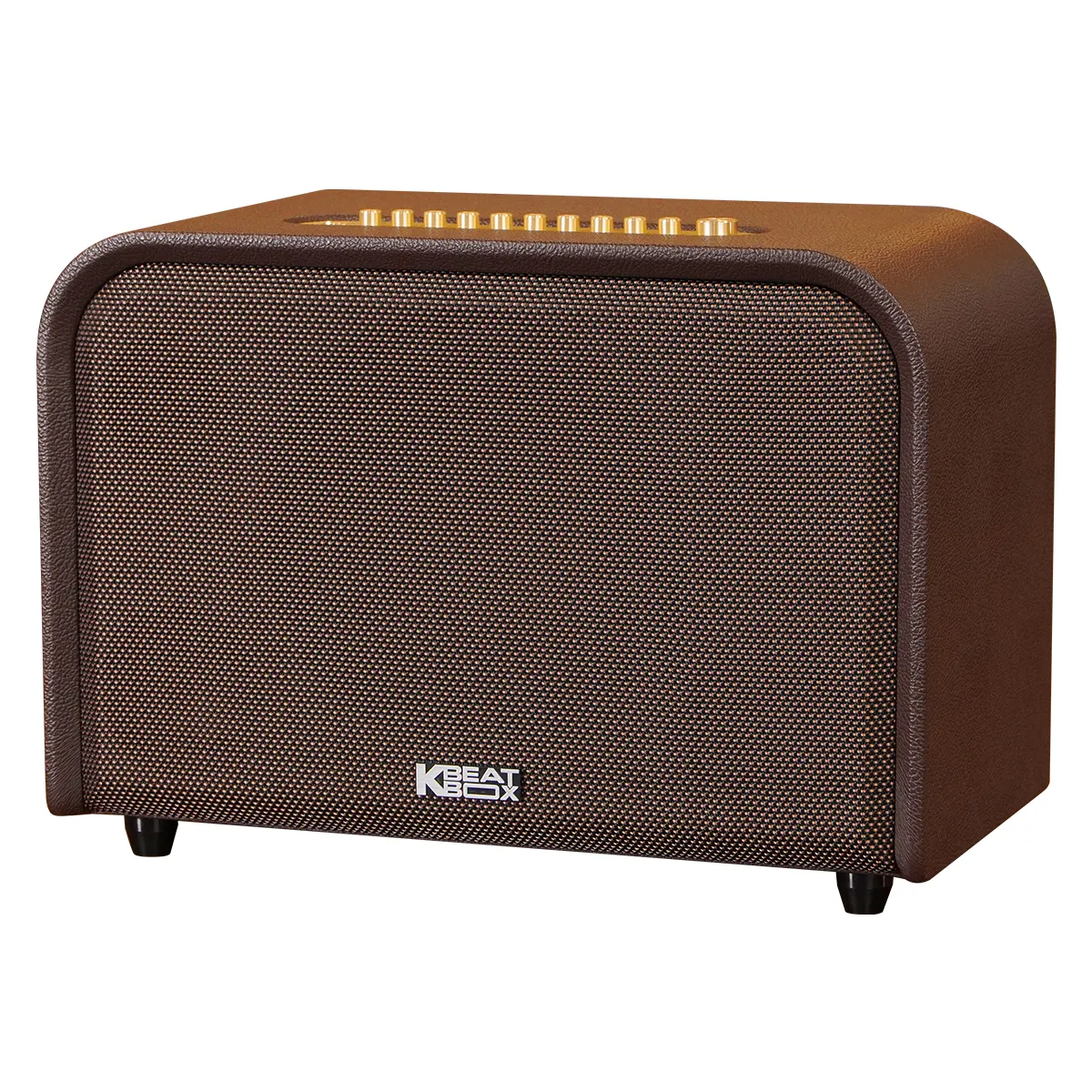 Loa Acnos Acoustic 3