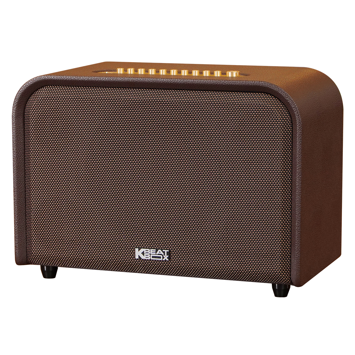 Loa Acnos Acoustic 3