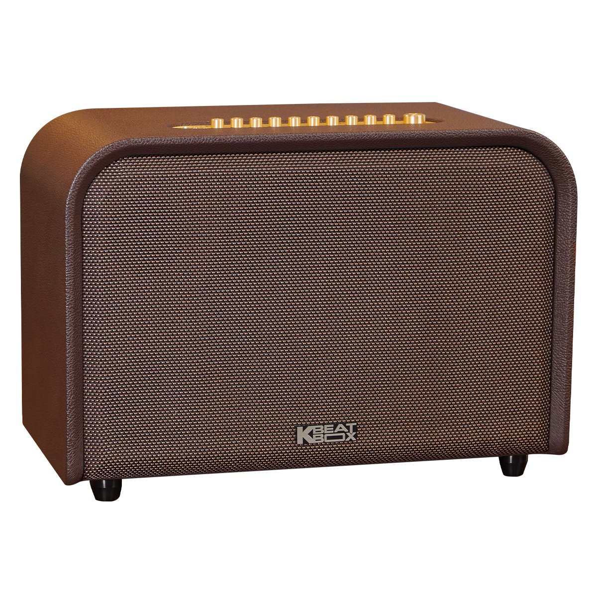 Loa Acnos Acoustic 3