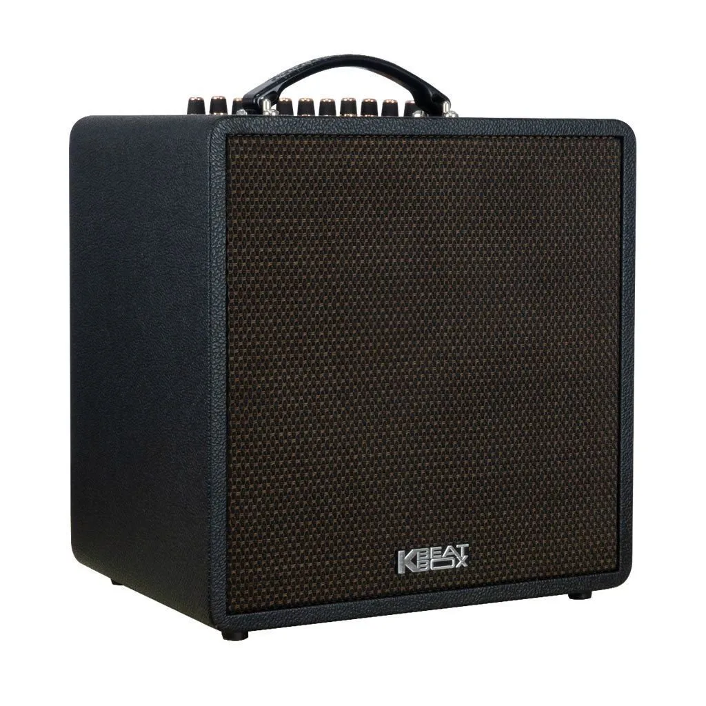 loa ACNOS QUAD 64 Ver2
