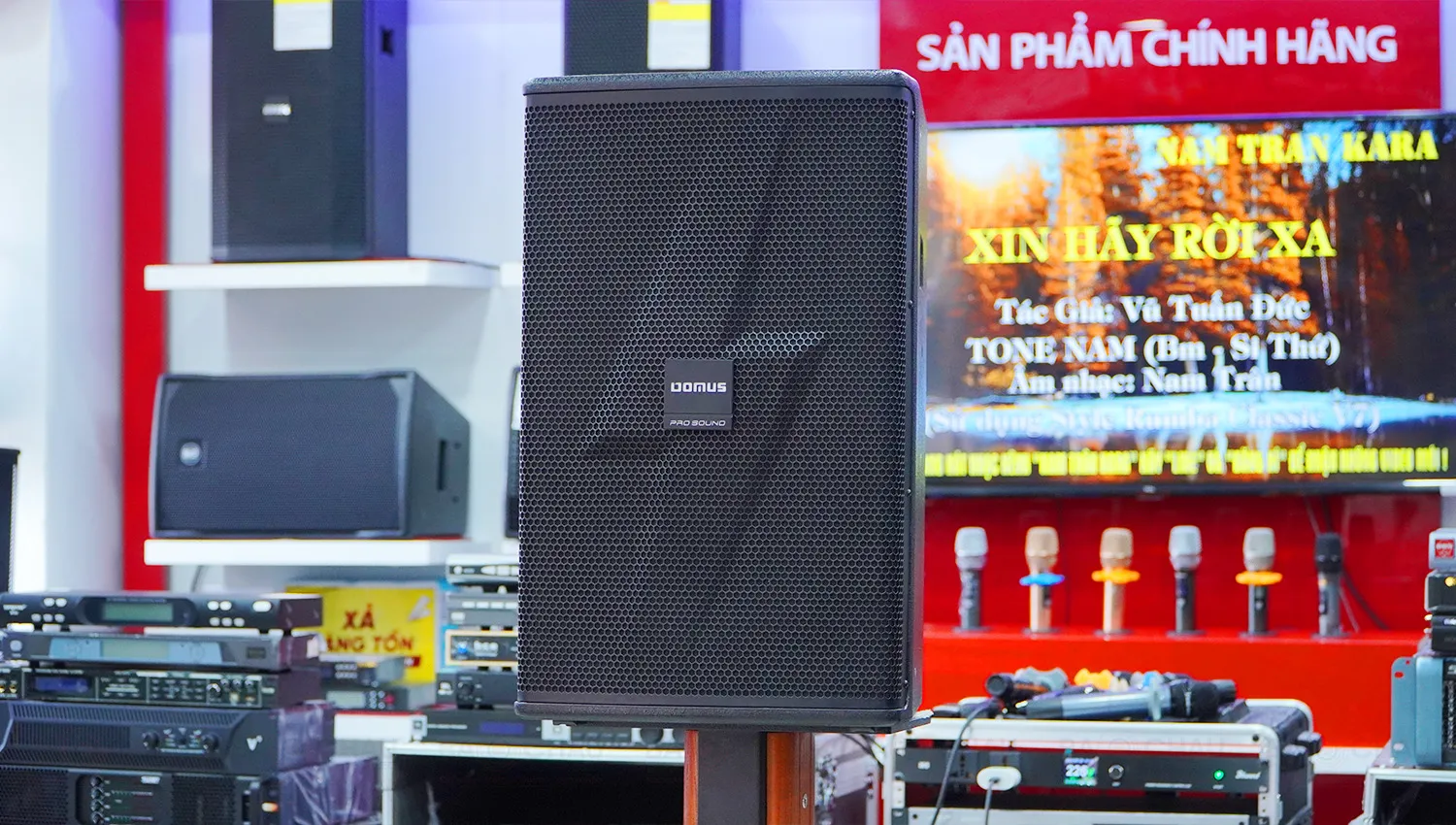 Loa Karaoke Domus DM-6012