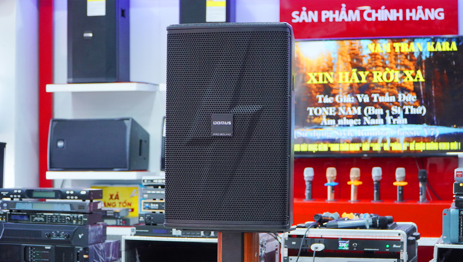 Loa Karaoke Domus DM-6012