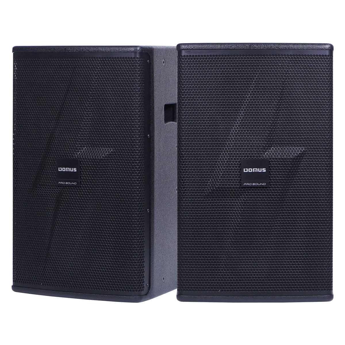 Loa Karaoke Domus DM-6012