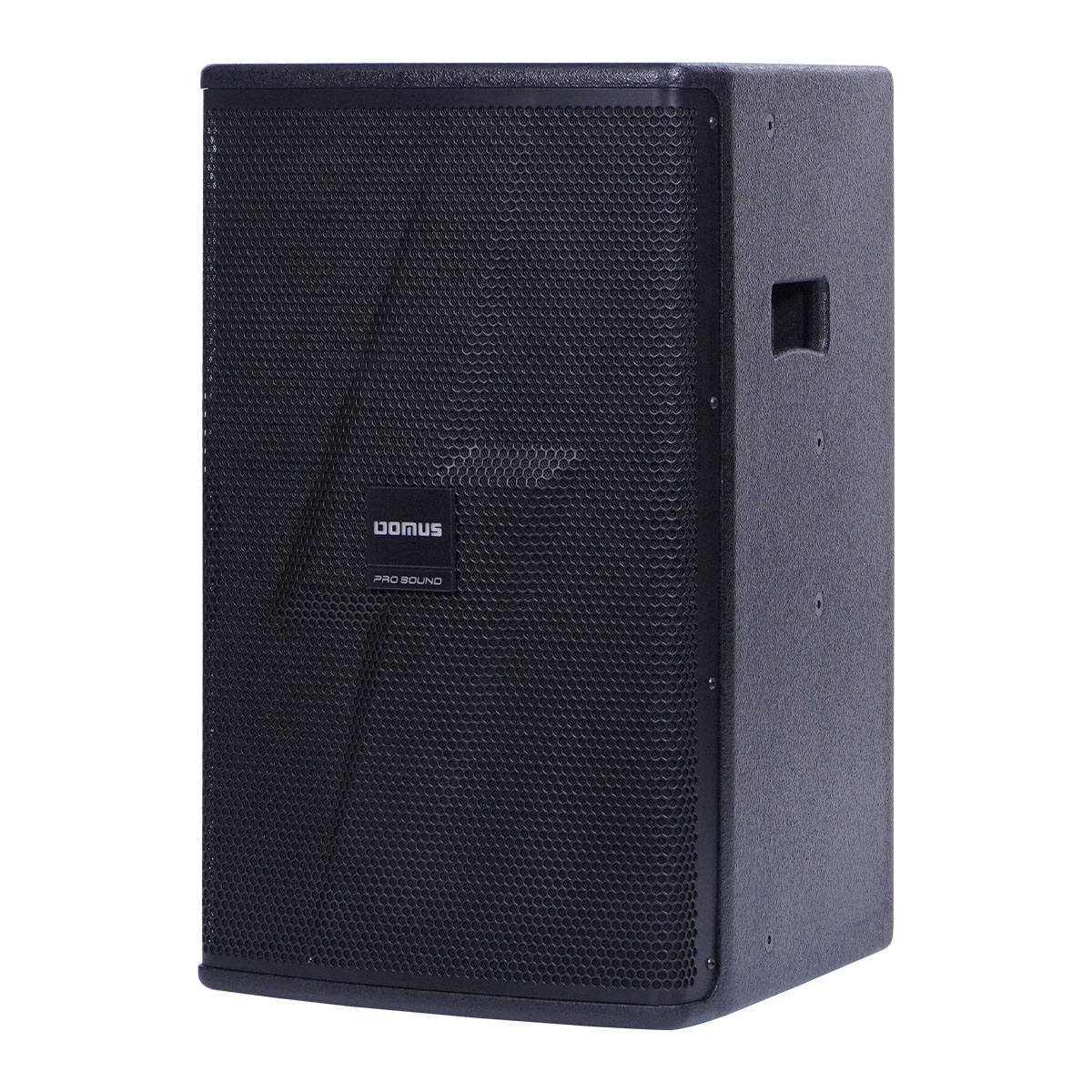 Loa Karaoke Domus DM-6012