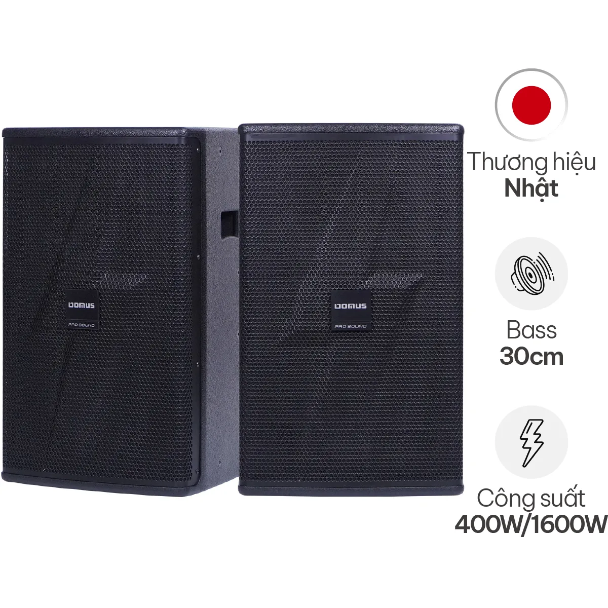 Loa Karaoke Domus DM-6012
