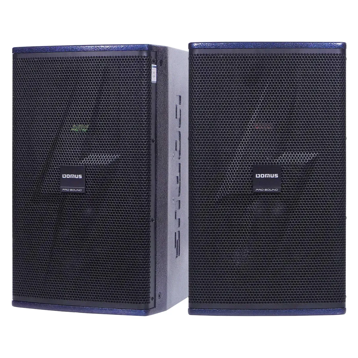 Loa Karaoke Domus DP-6210 MAX