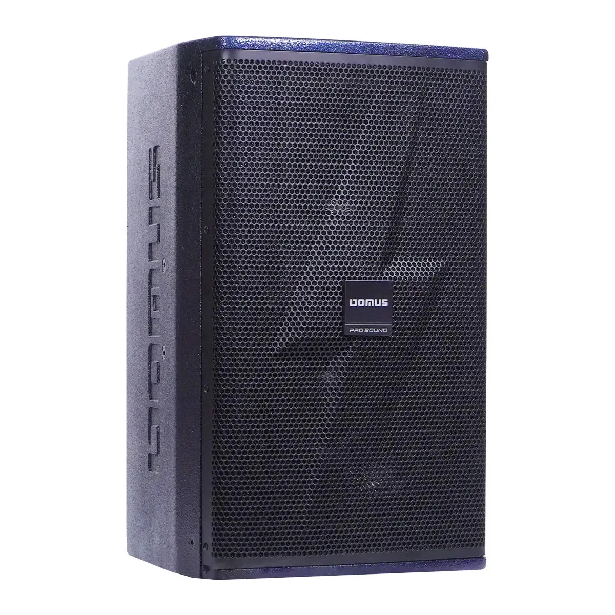 Loa Karaoke Domus DP-6210 MAX