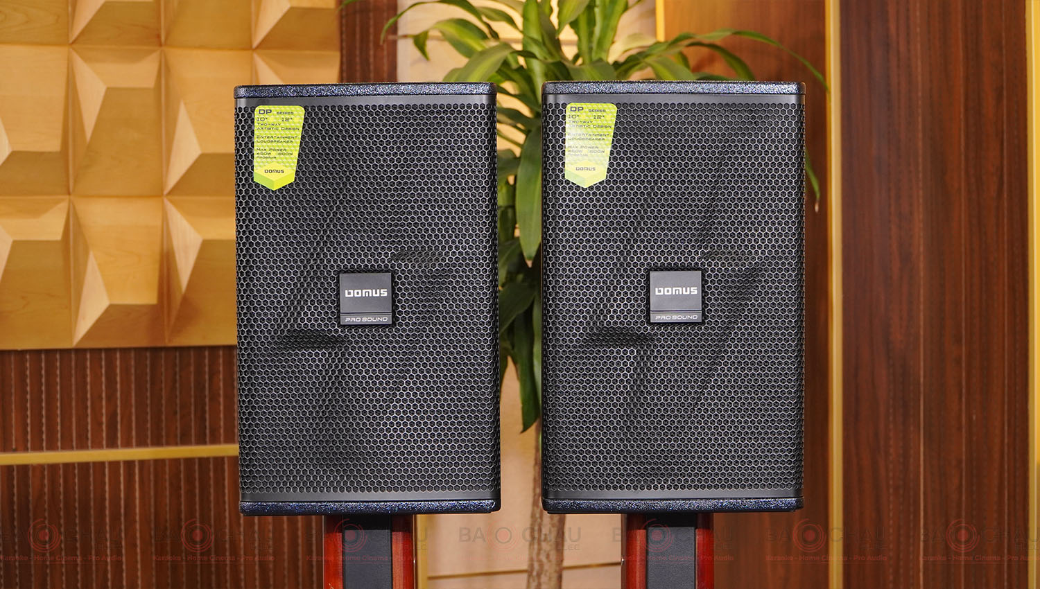 Loa Karaoke Domus DP-6210 MAX