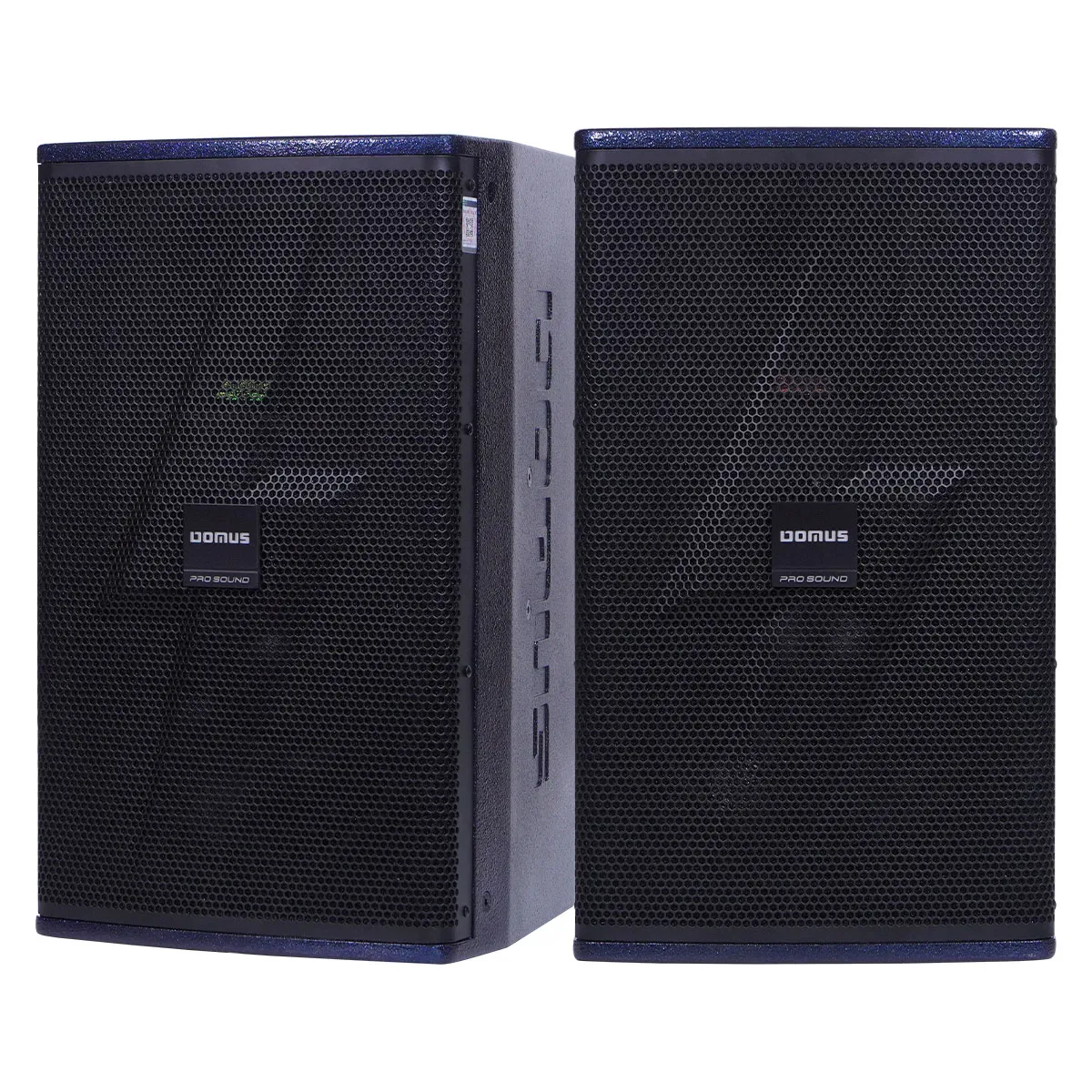 Loa Karaoke Domus DP-6212 MAX