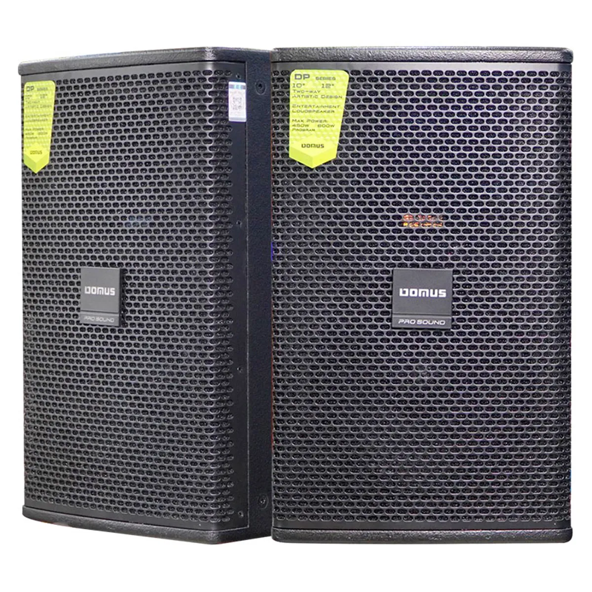 Loa Karaoke Domus DP6100 MAX