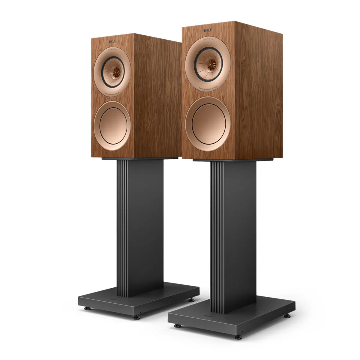 Loa KEF R3 Meta Walnut