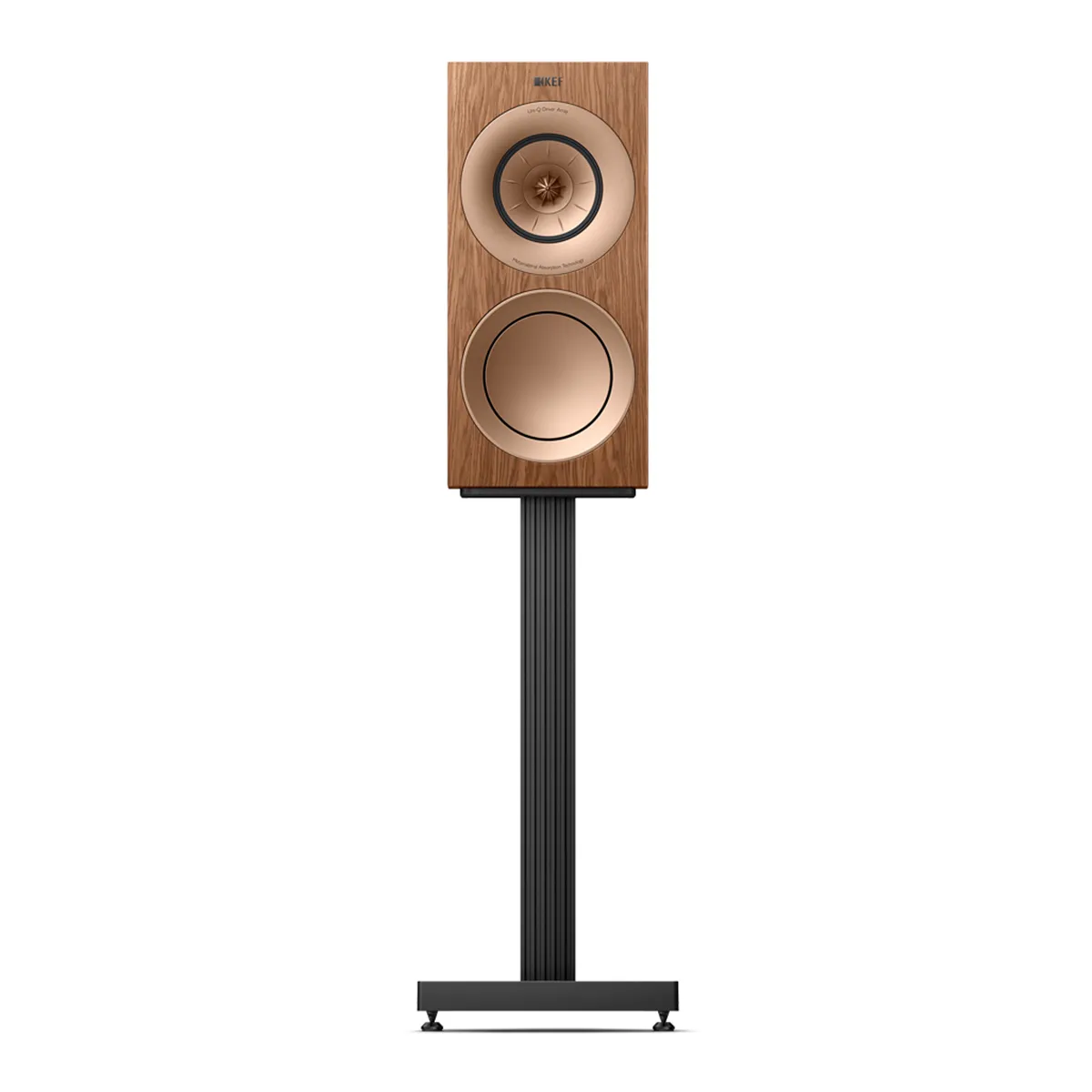 Loa KEF R3 Meta Walnut