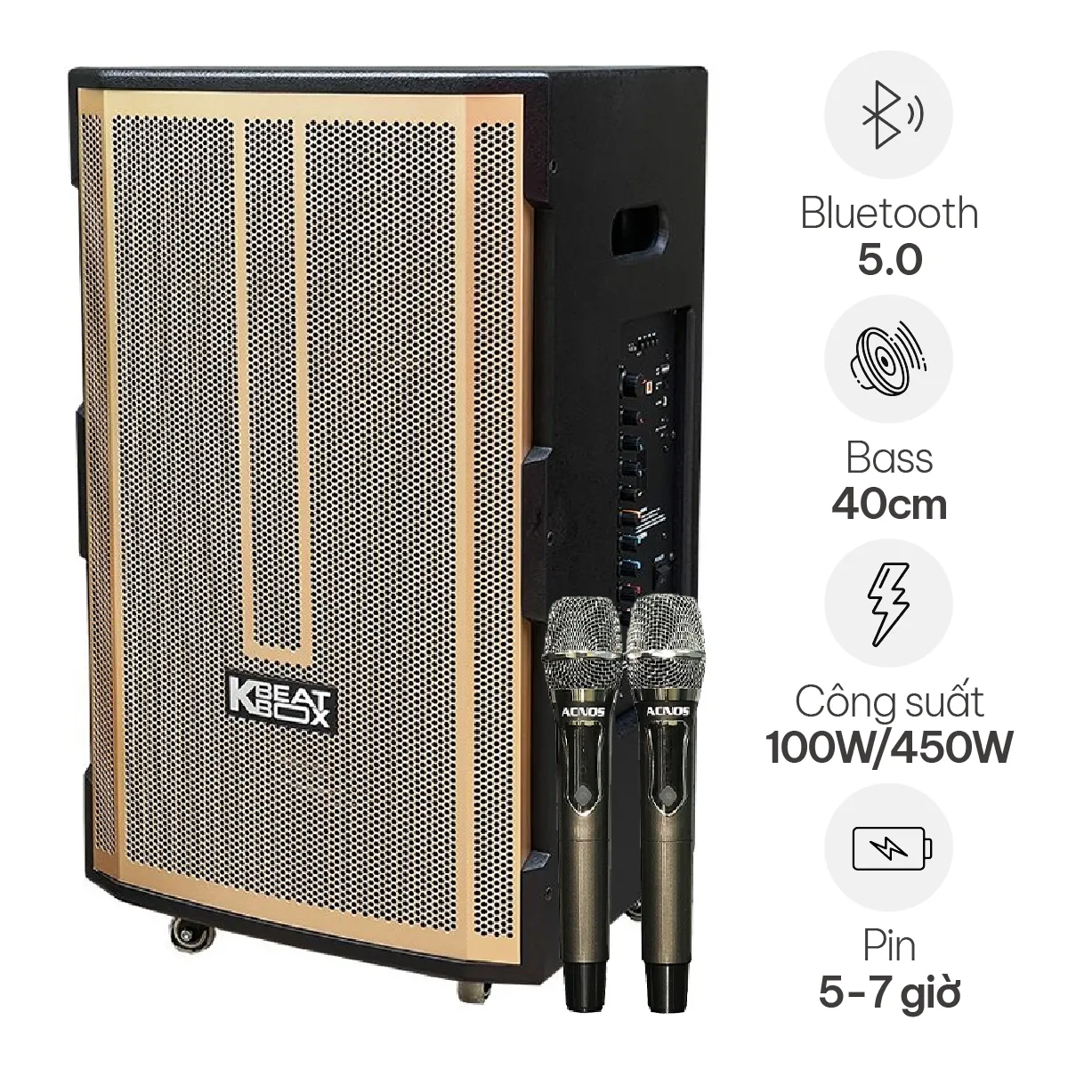 Loa Kéo ACNOS CB392G