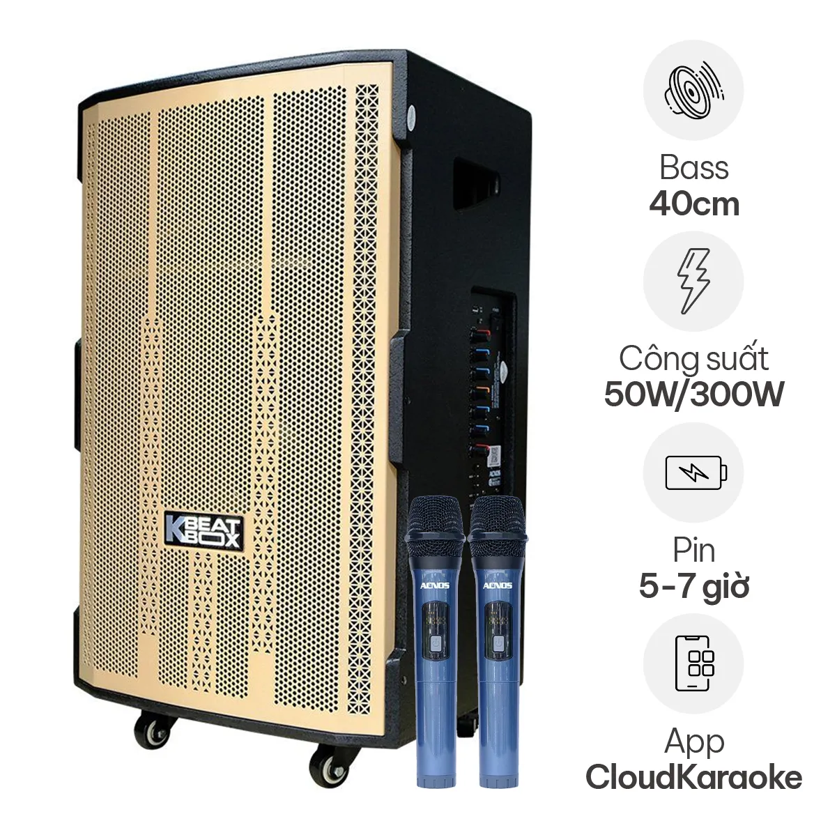 Loa kéo Acnos CB4051G