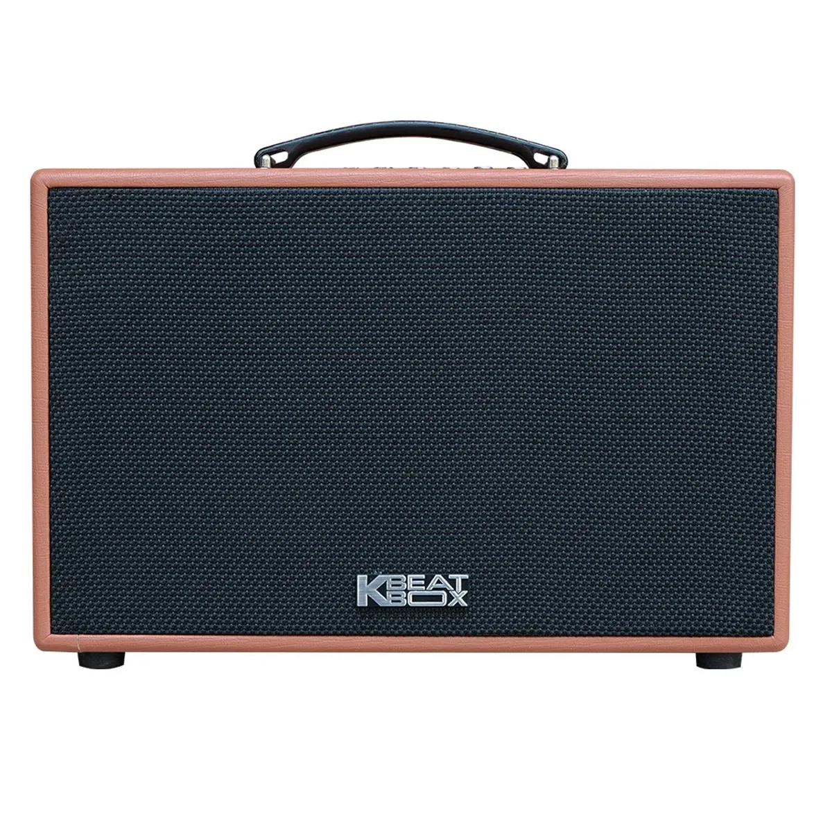 Loa kéo Acnos CS250PU