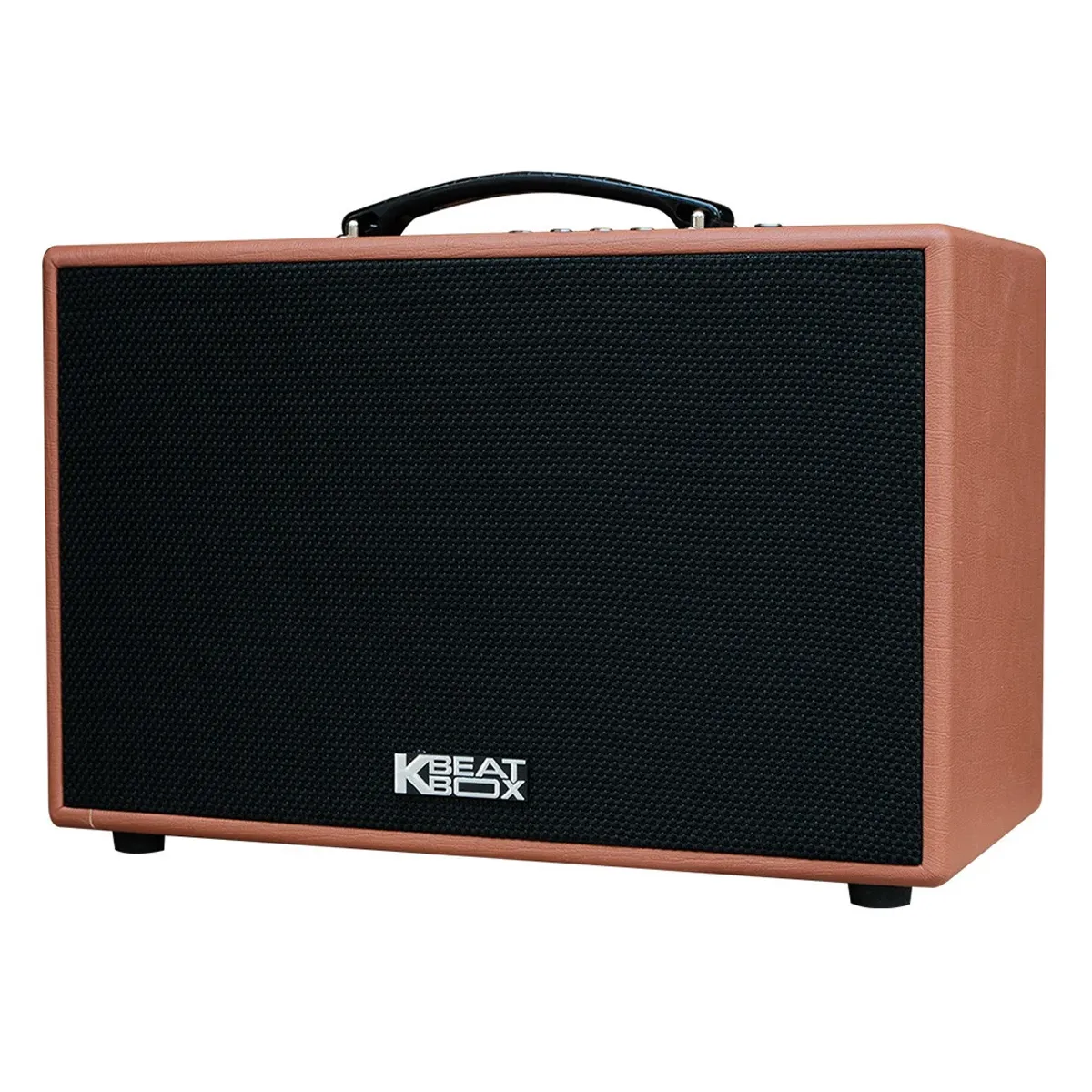 Loa kéo Acnos CS250PU