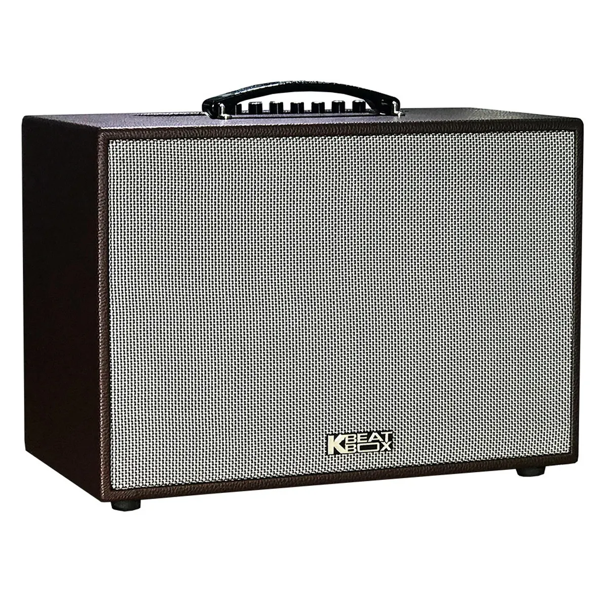 Loa kéo Acnos CS250PU