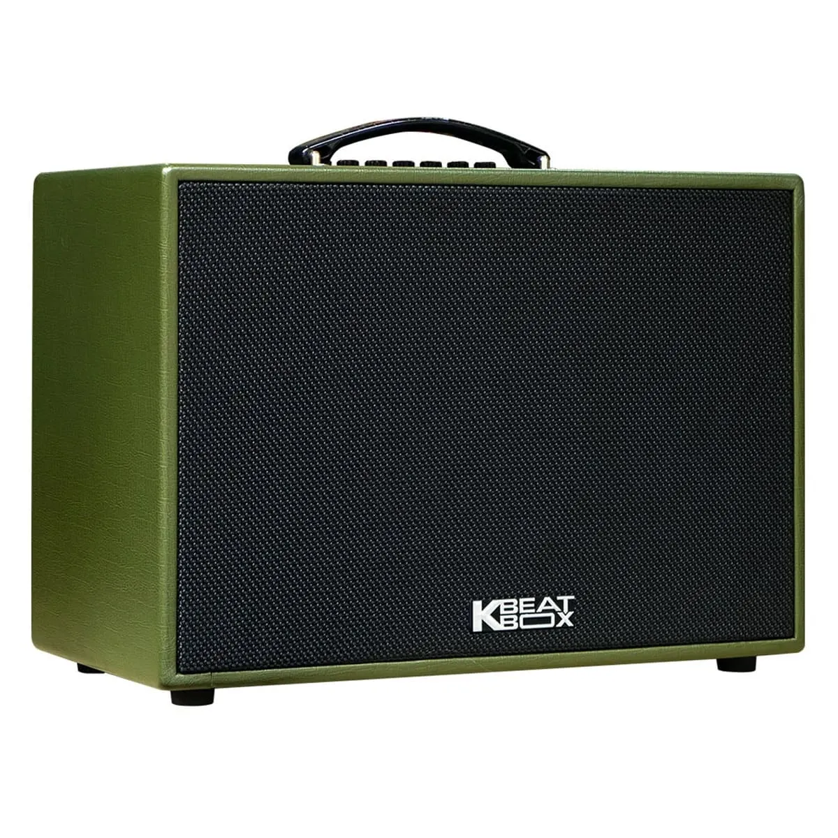 Loa kéo Acnos CS250PU