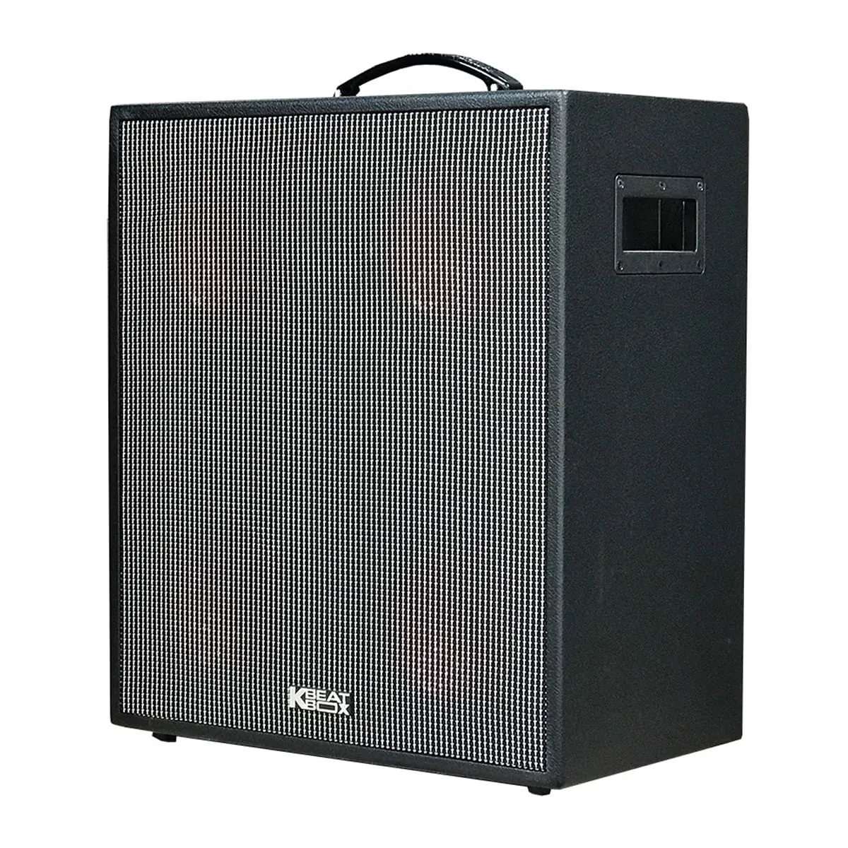 Loa Karaoke Di Động Acnos CS550