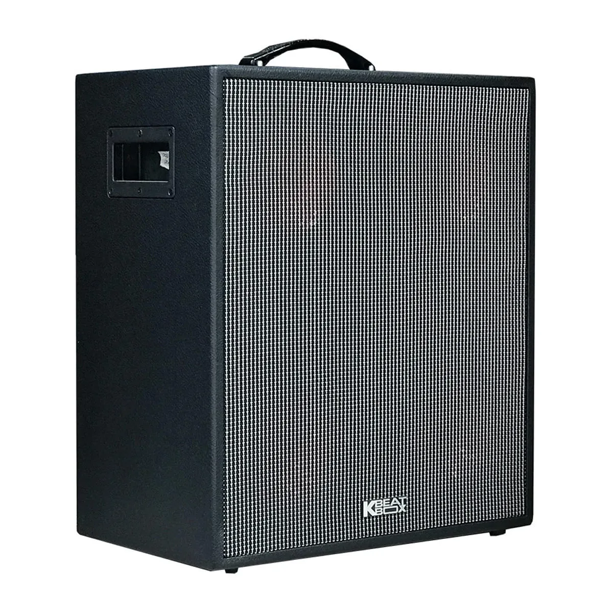 Loa Karaoke Di Động Acnos CS550