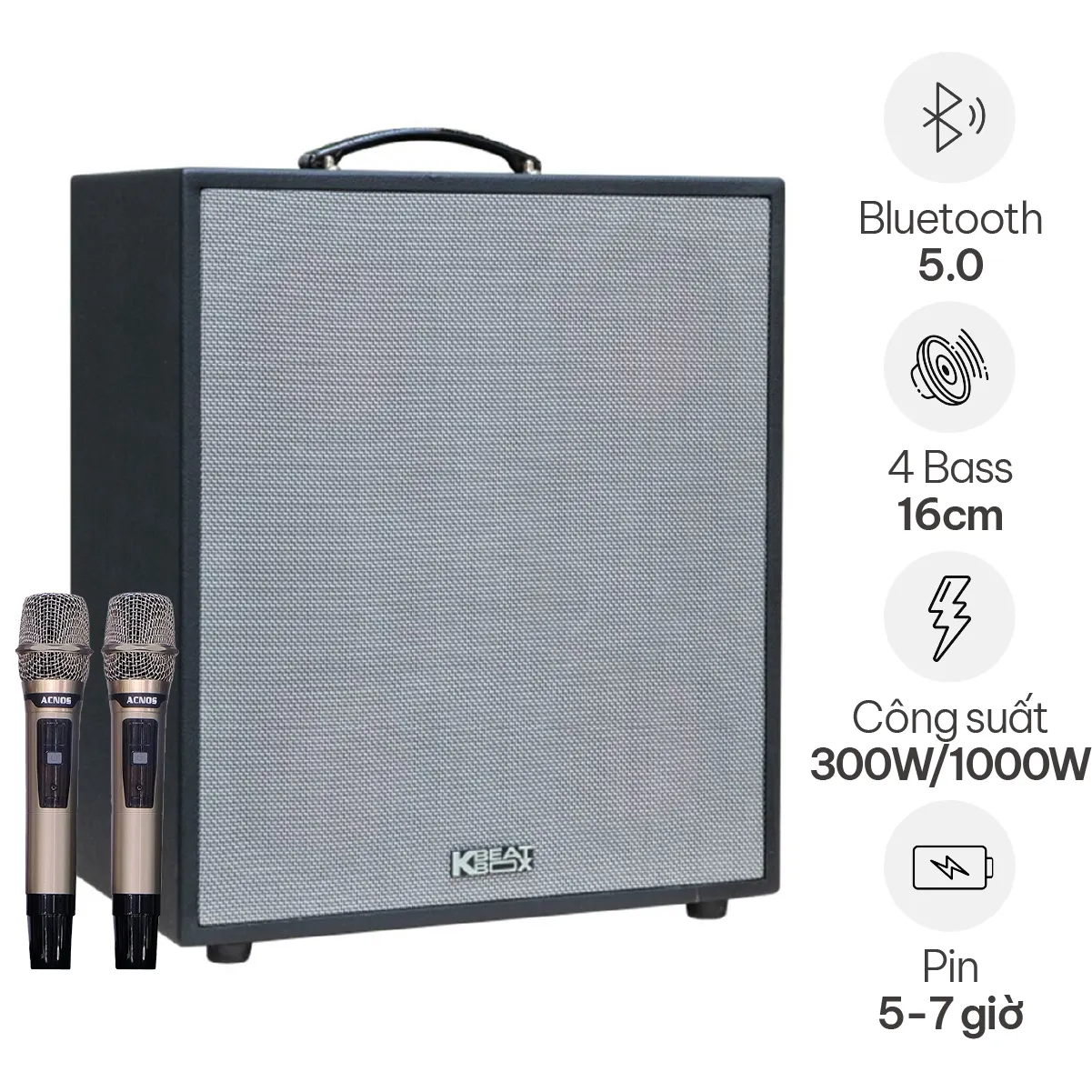 Loa Karaoke Di Động Acnos CS550
