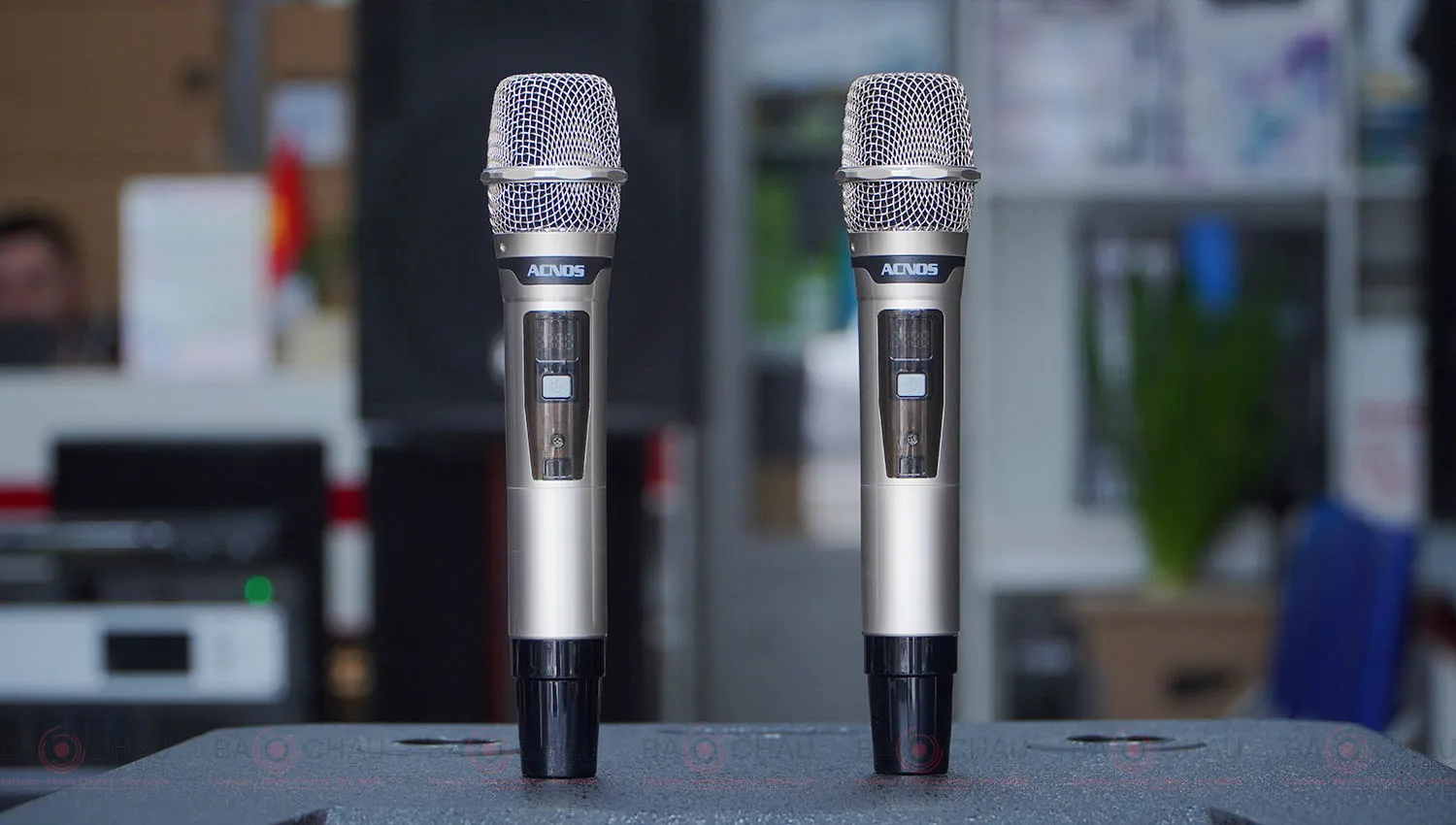 Loa Kéo Acnos TOP 530