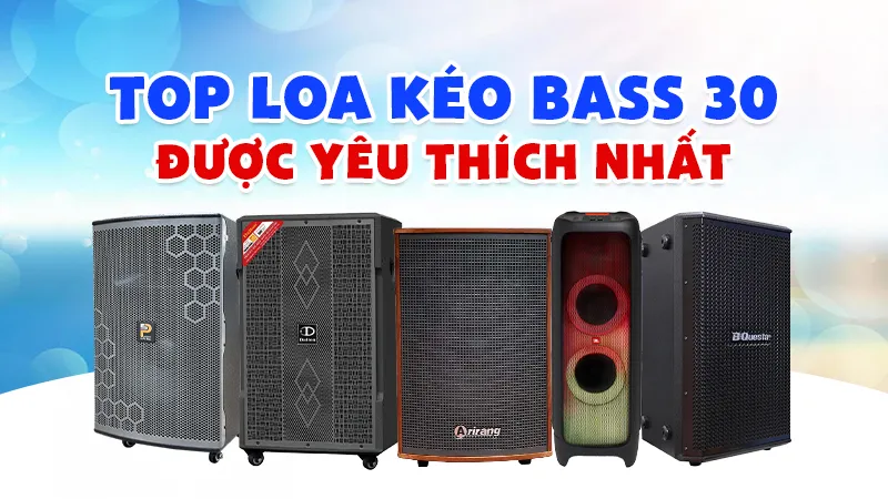 Mẫu loa kéo bass 30 được yêu thích nhất