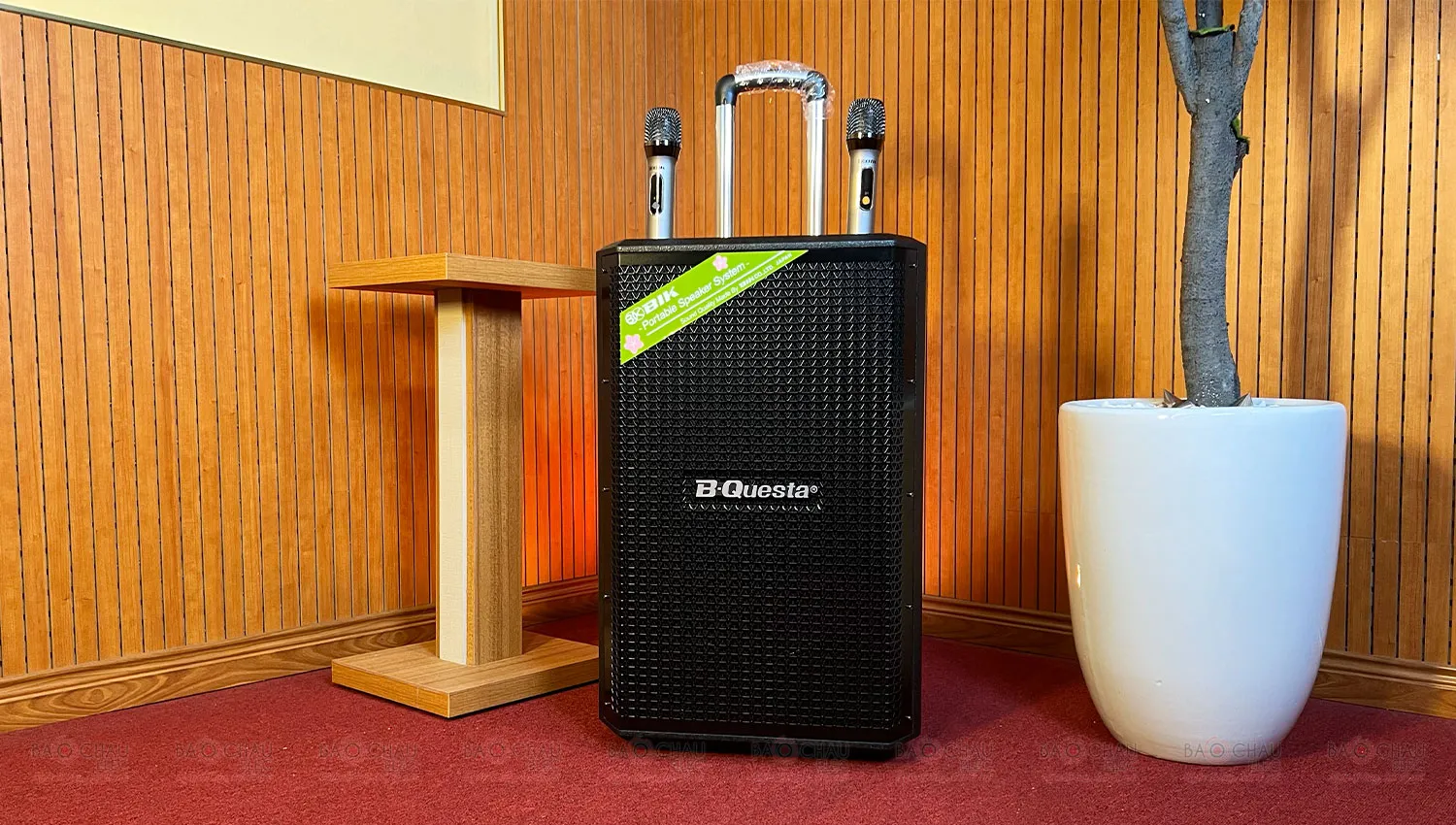 Loa Kéo BIK BMS-3012 (Bass 30cm, Kèm 2 Micro, Pin Sạc)