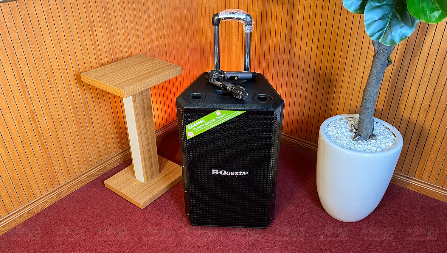 Loa K&eacute;o BIK BMS-3012 (Bass 30cm, K&egrave;m 2 Micro, Pin Sạc)