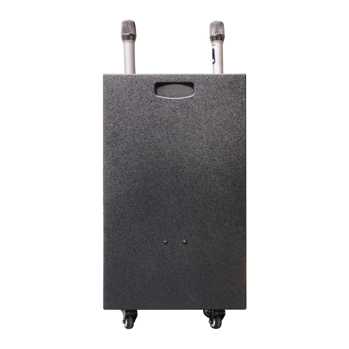 Loa Kéo BIK BMS 5015II