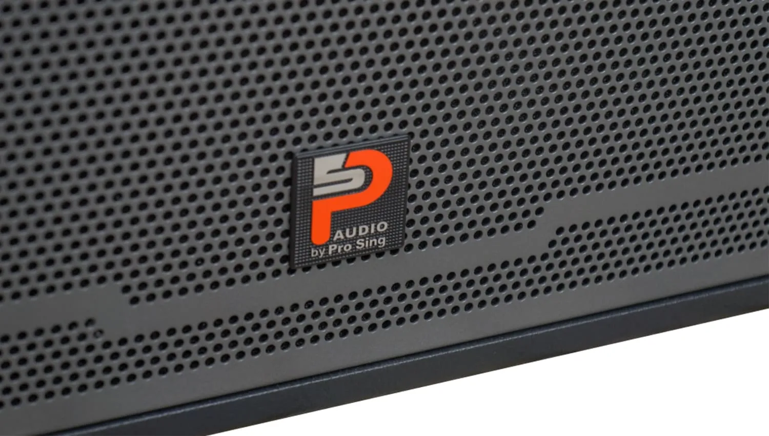 Loa kéo Prosing W8 Silver-E