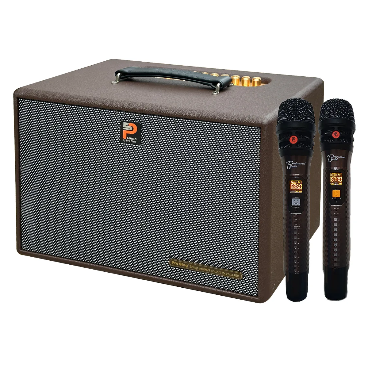 Loa Kéo Prosing W8 – KOR