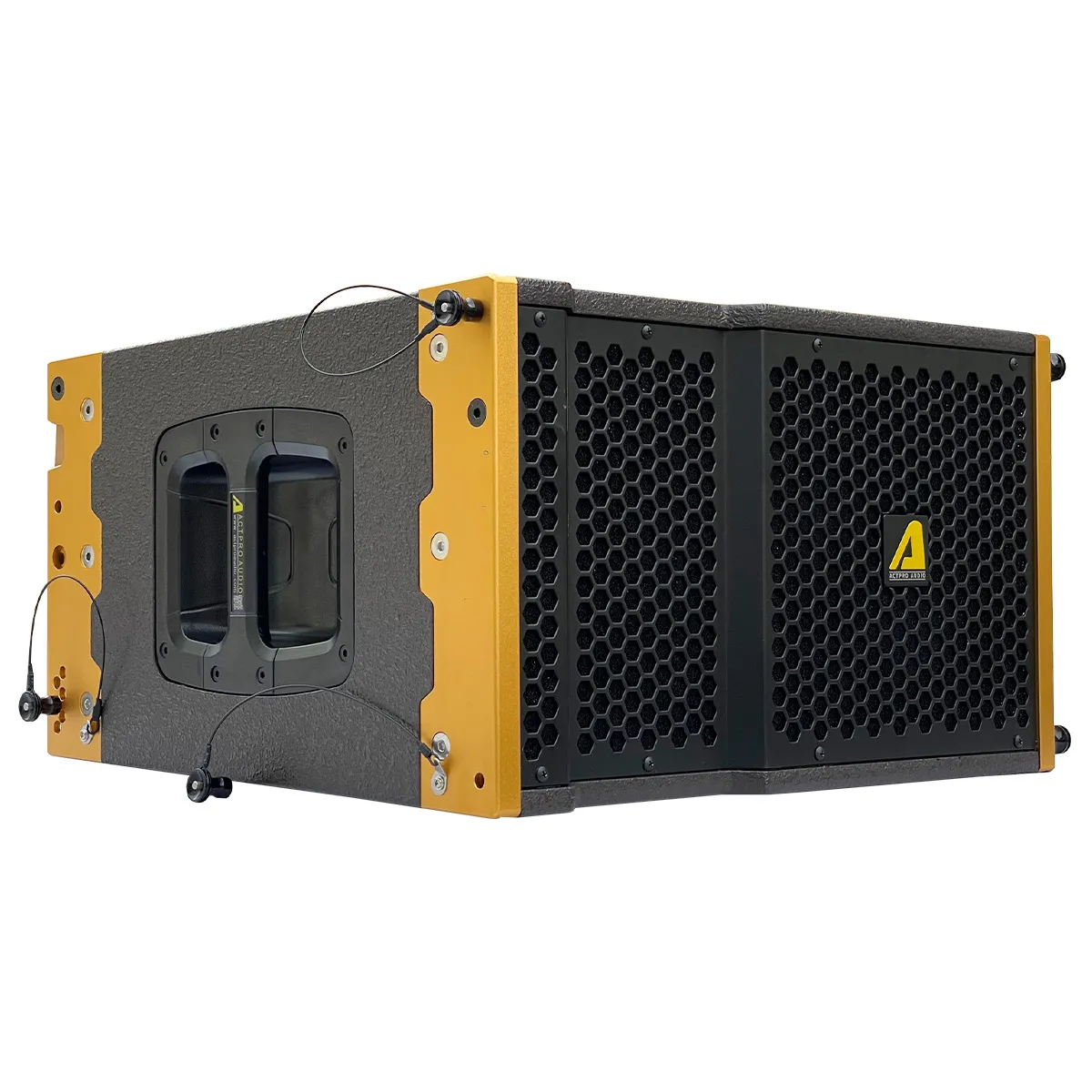 Loa Line Array Bass Đơn 25cm Actpro AS10N