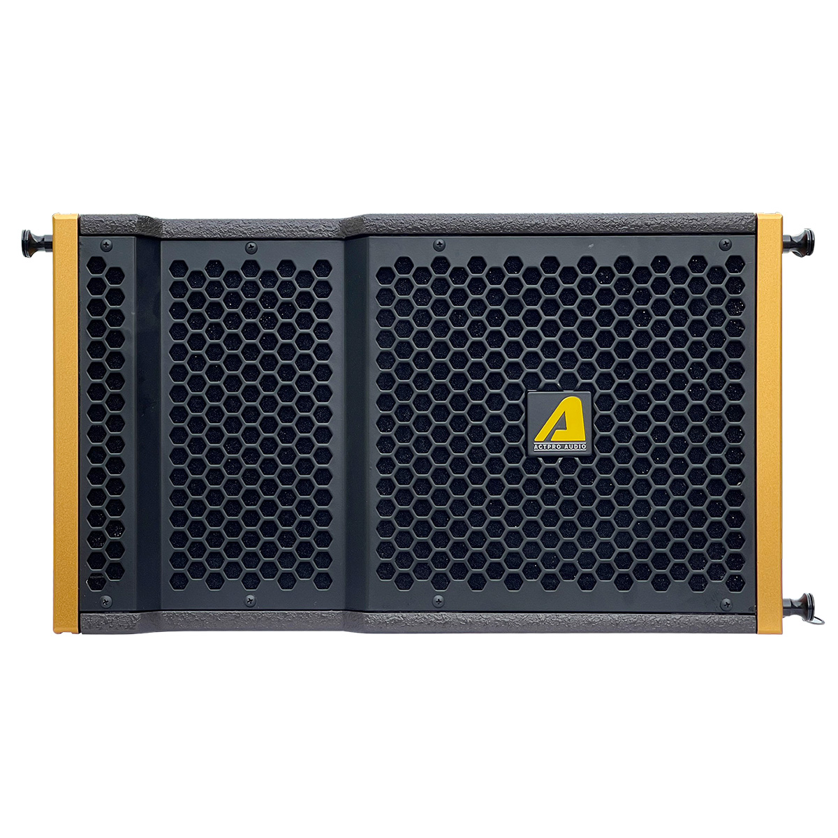 Loa Line Array Bass Đơn 25cm Actpro AS10N