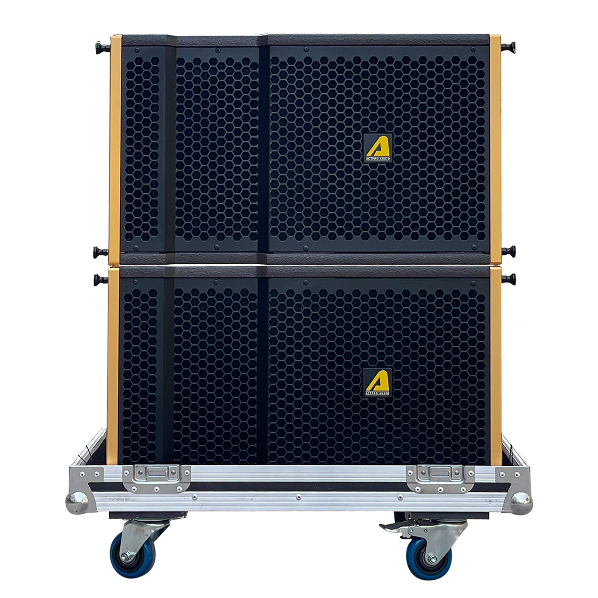 Loa Line Array Bass Đơn 25cm Actpro AS10N