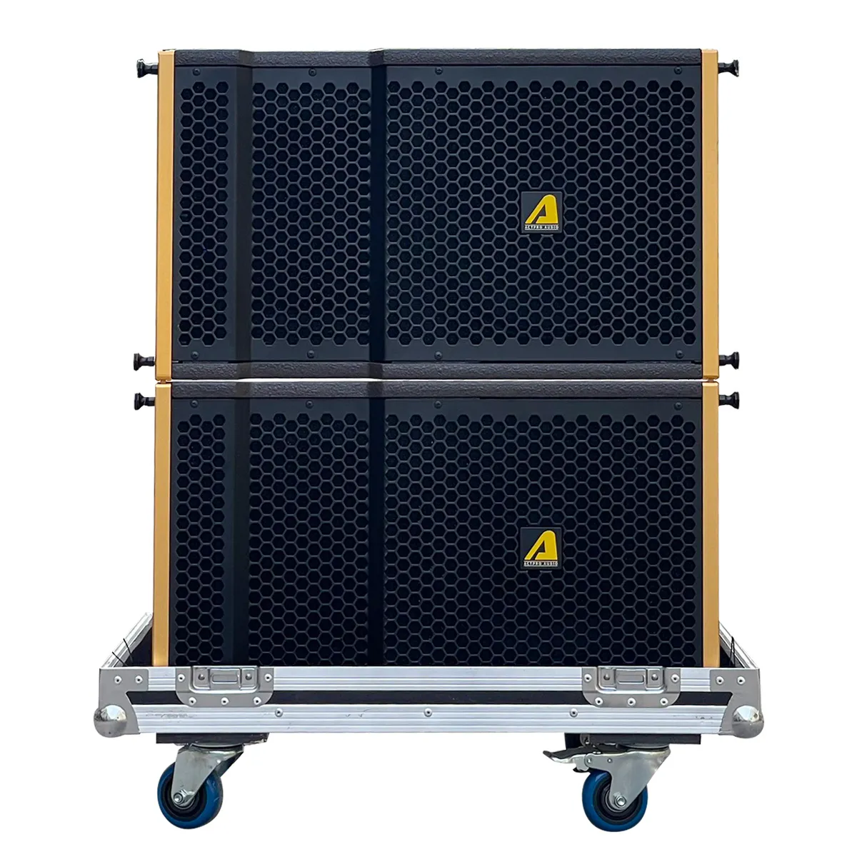 Loa Line Array Bass Đơn 25cm Actpro AS10N