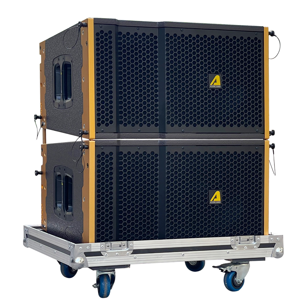 Loa Line Array Bass Đơn 25cm Actpro AS10N