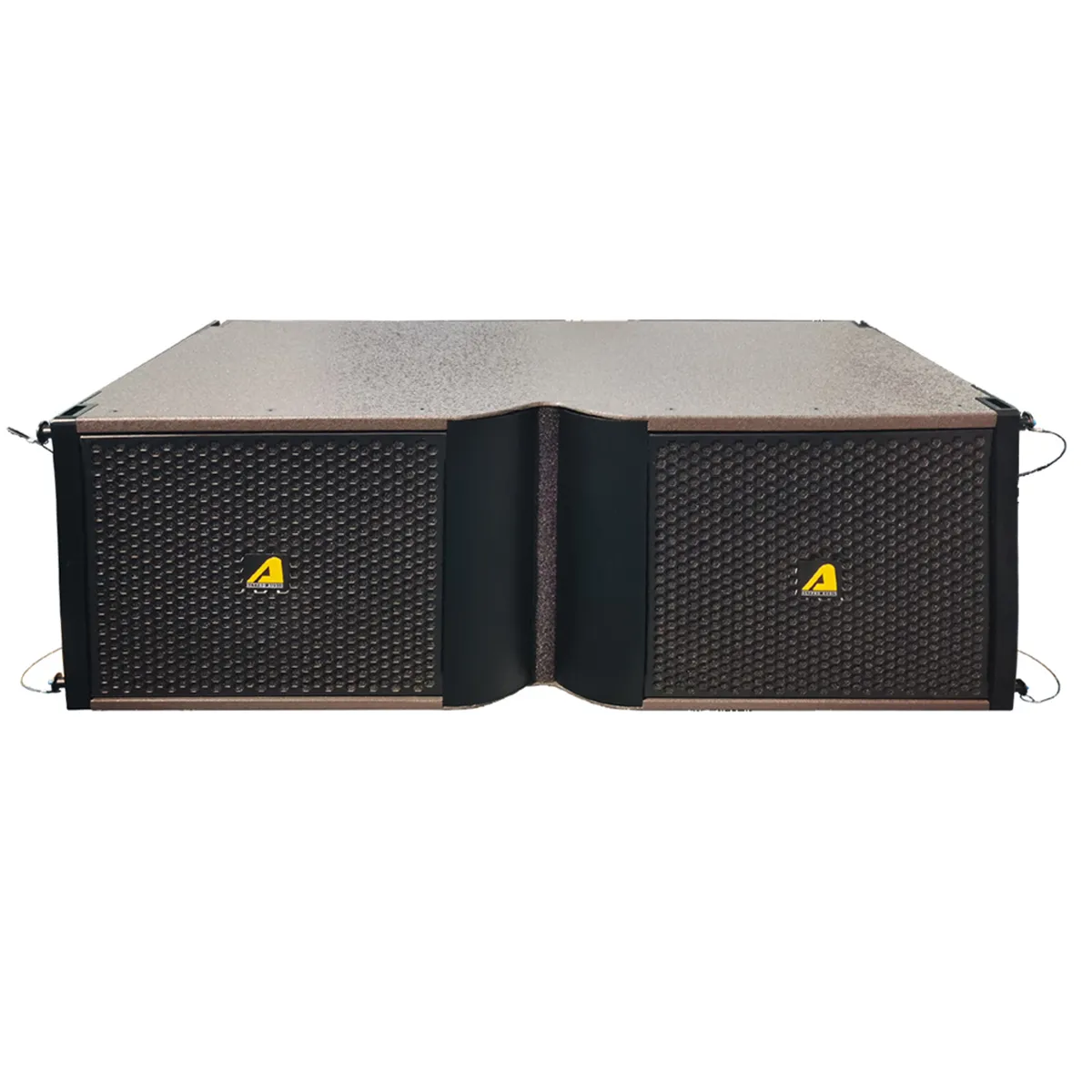 Loa Line Array Bass Đôi 30cm Actpro KR612N