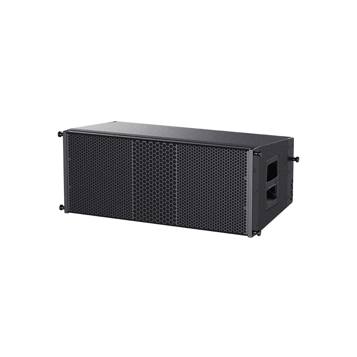 Loa Line Array TONYLEE HL210-DSP