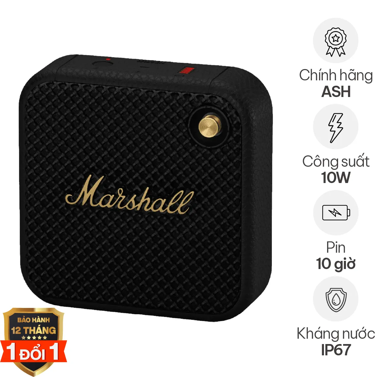 Loa Marshall Willen Chính Hãng ASH (10W, Pin 15h, Bluetooth 5.1, IP67)