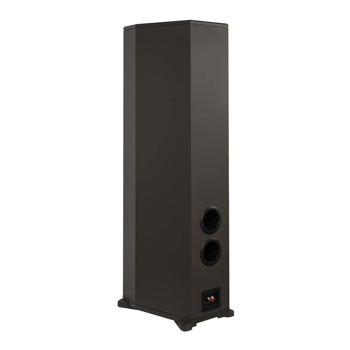 Loa đứng Paramax F1000
