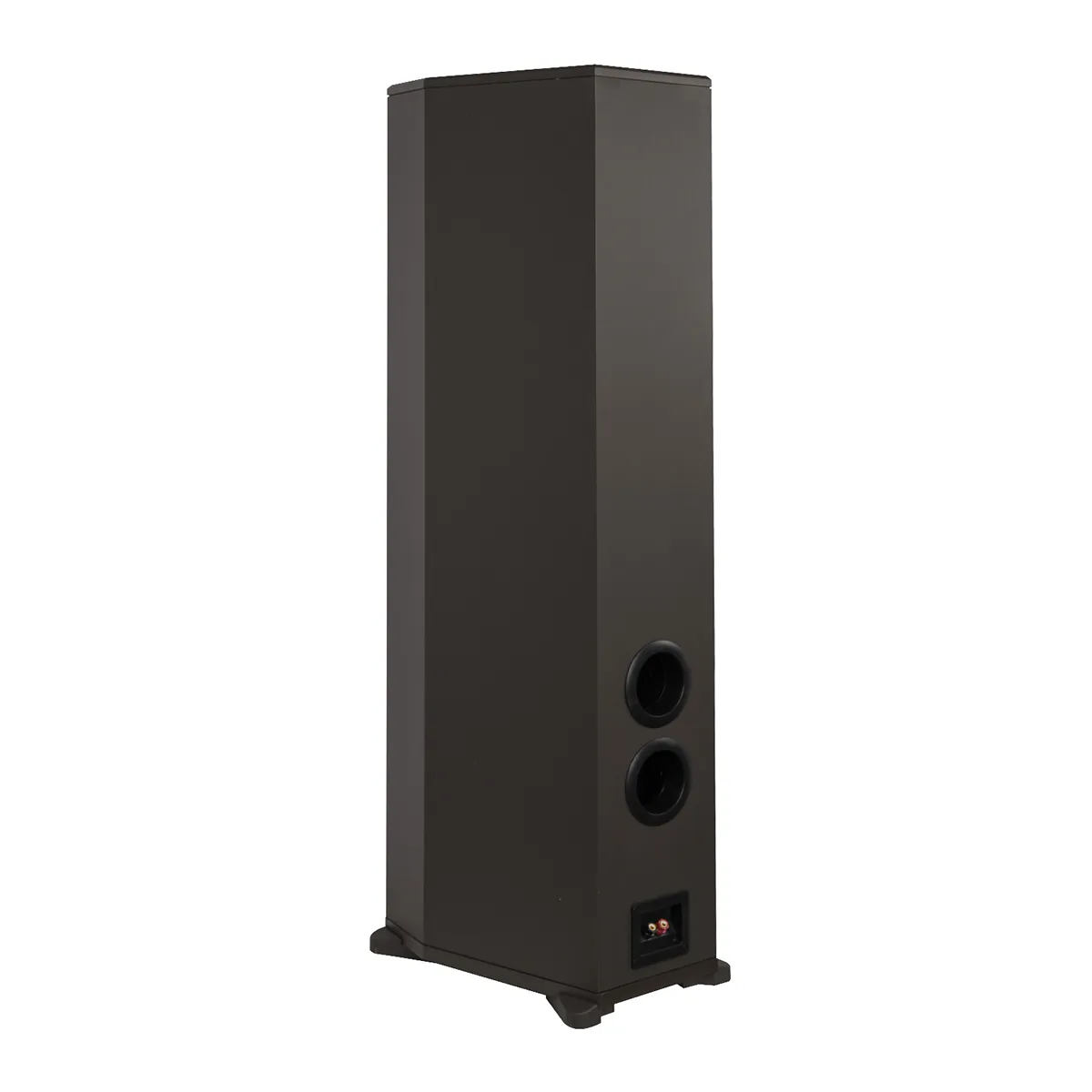 Loa đứng Paramax F2000