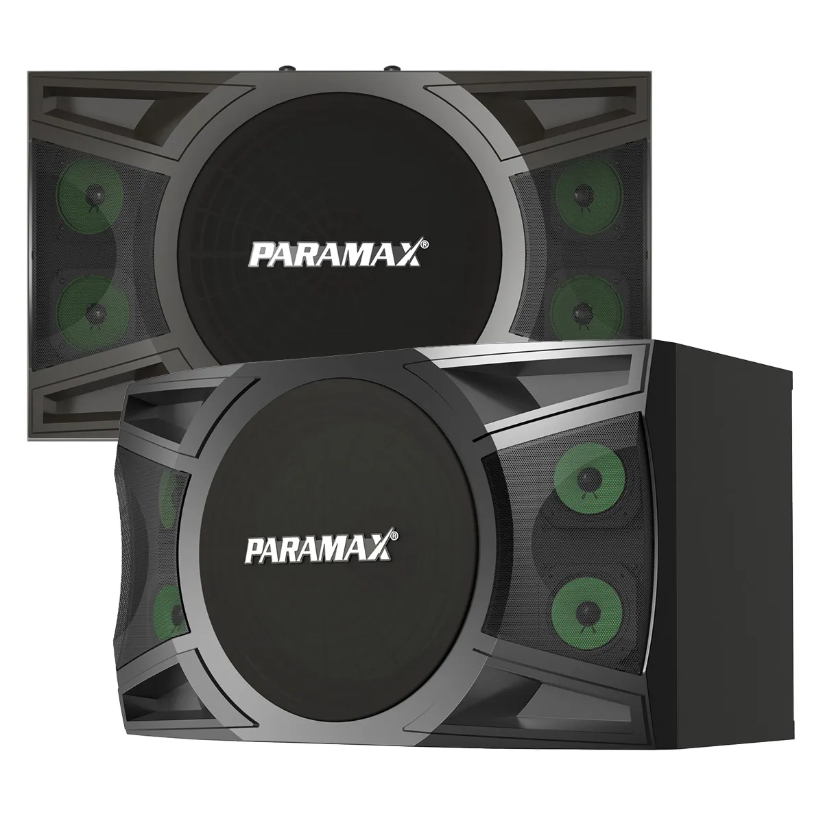 Loa karaoke Paramax P2000 New
