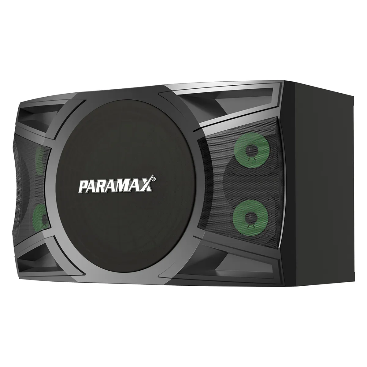 Loa karaoke Paramax P1000 New