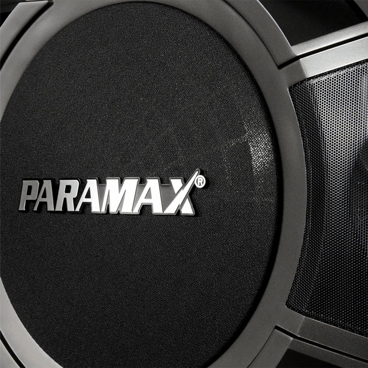 Loa karaoke Paramax P1000 New